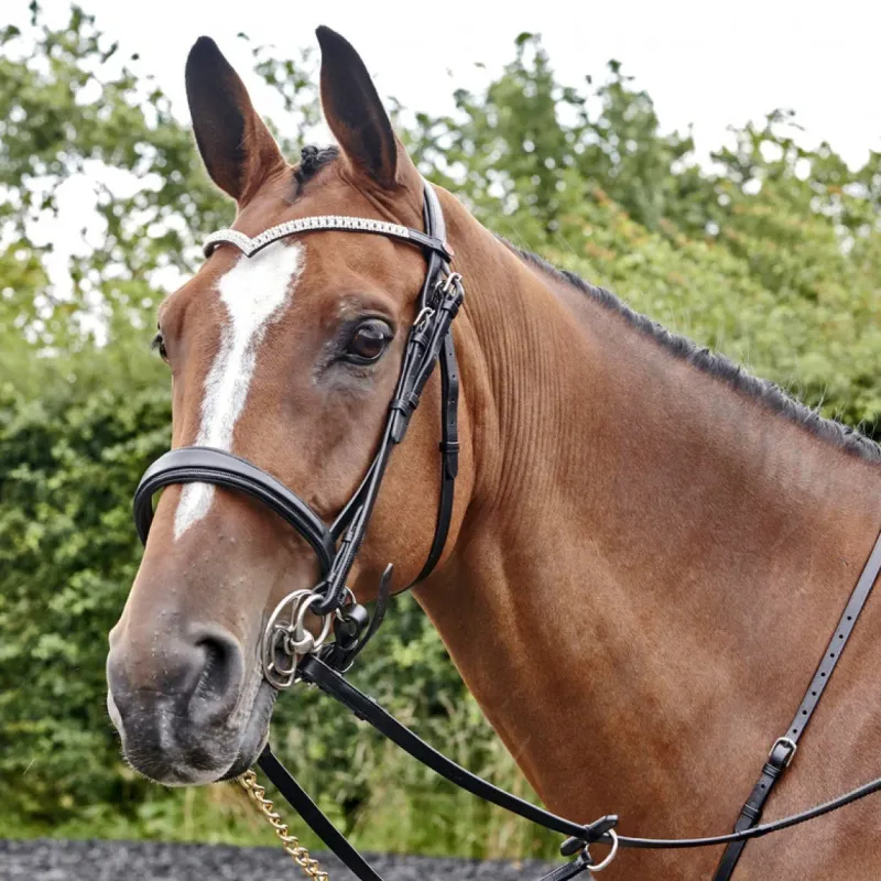 John Whitaker Bridles<Lynton Snaffle Bridle