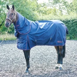 John Whitaker Turnout Rugs<Rastrick 250g Combo Turnout Rug