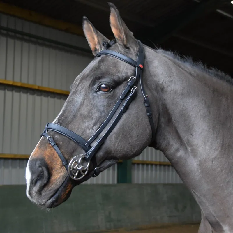 John Whitaker Bridles<Ready to Ride Snaffle Bridle