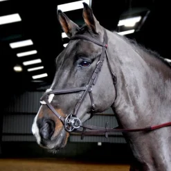 John Whitaker Bridles<Ready to Ride Mexican Bridle