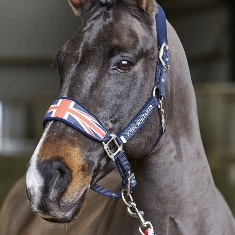 John Whitaker Head Collars<Union Jack Headcollar