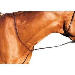 Kincade Martingales<Standing Martingale