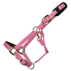 (None) Riding Accessories<Km Elite Padded Headcollar Assorted Colours Large