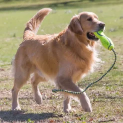 Trilanco Dog Toys|Dummies<Kong AirDog Fetch Stick with Rope