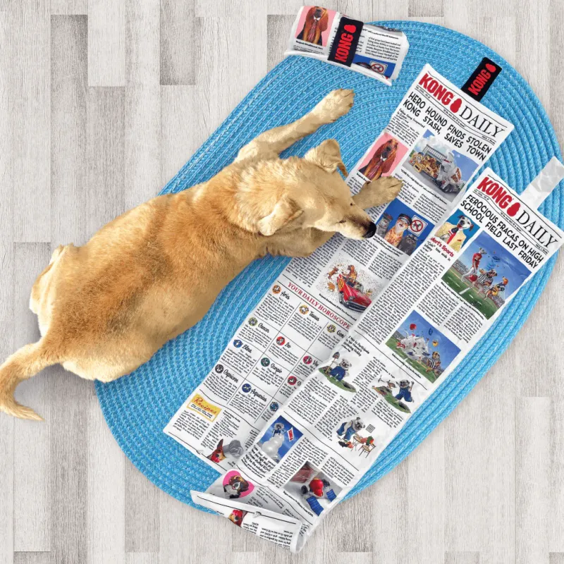Trilanco Dog Toys<KONG Daily Newspaper