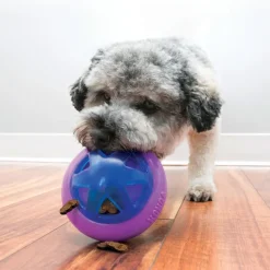 Kong Dog Toys<Hopz Treat Ball