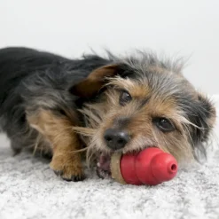 Trilanco Dog Toys|Dog Treats<Kong Marathon Treat Chicken Small 2 Pieces