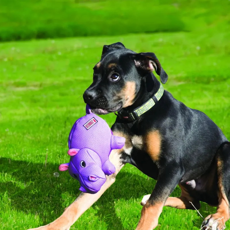 Trilanco Dog Toys<Kong Phatz Hippo Medium