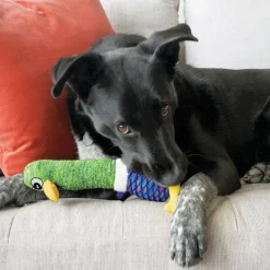 Kong Dog Toys<Shakers Cuckoos Assorted Characters