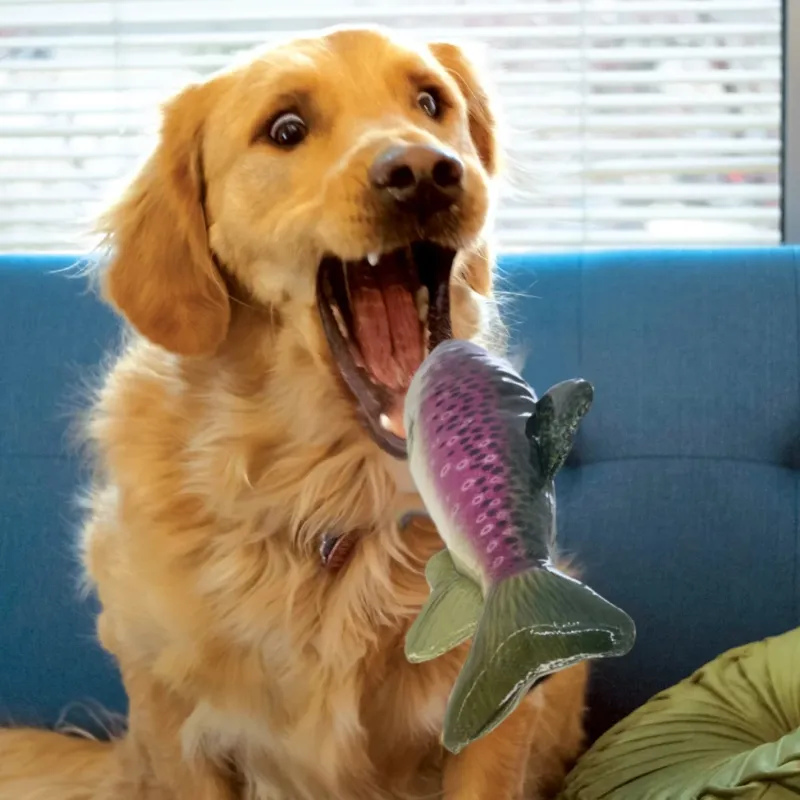 Kong Dog Toys<Shieldz Wildz Fish