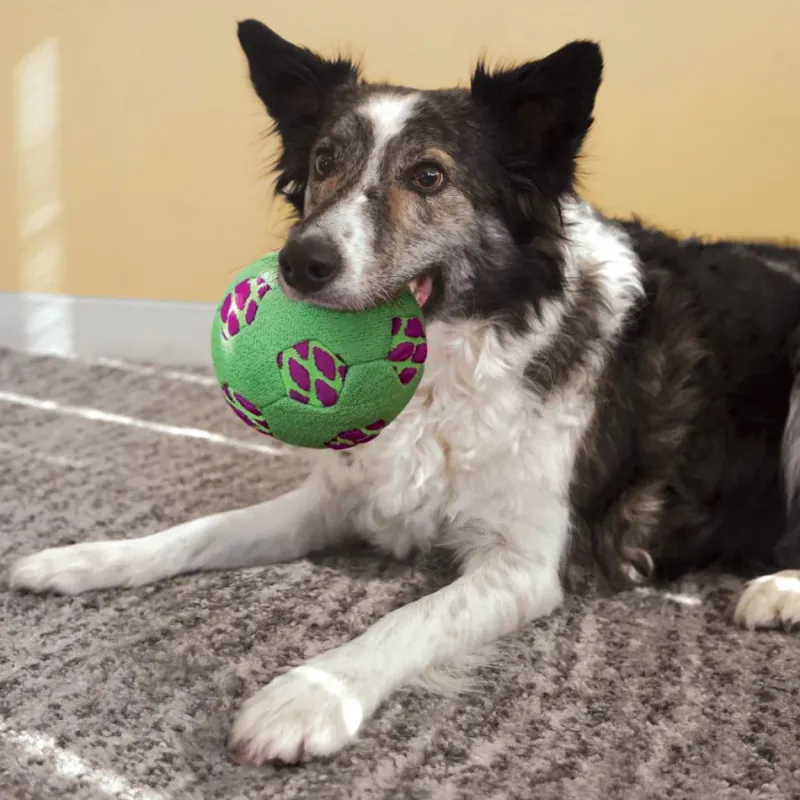 Kong Dog Toys<Sneakerz Sport Soccer Ball