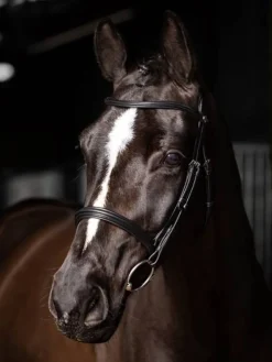 LeMieux Bridles<Arika Cavesson Bridle