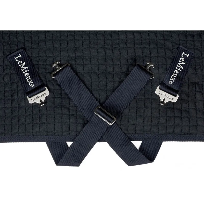 LeMieux Travel Rugs|Stable Rugs<Arika Clima-Tek Rug