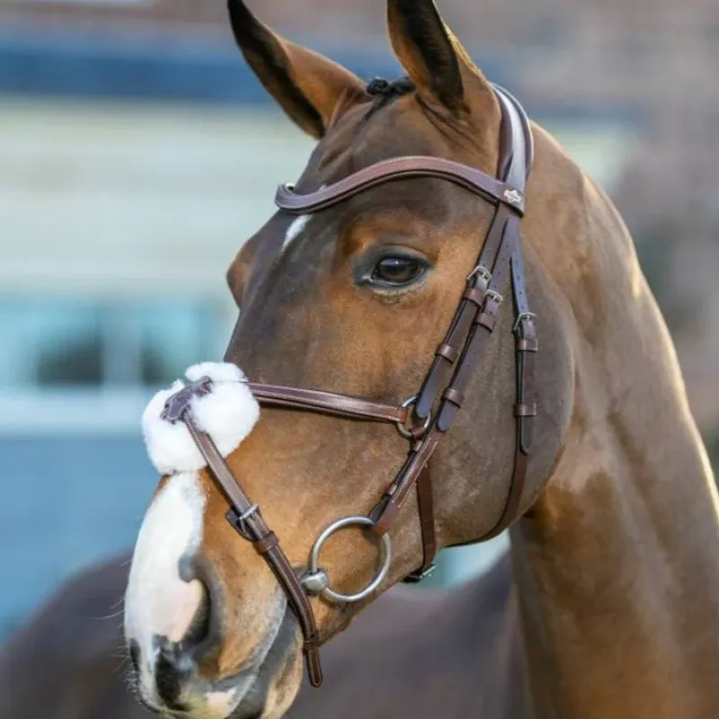 LeMieux Bridles<Arika Grackle Bridle
