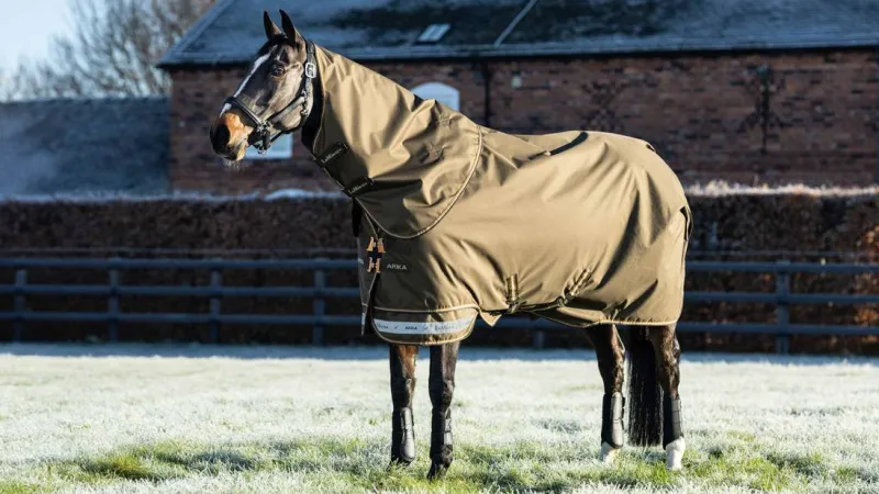 LeMieux Stable & Turnout Boots|Turnout Rugs<Arika Ripstop 200g Turnout Rug