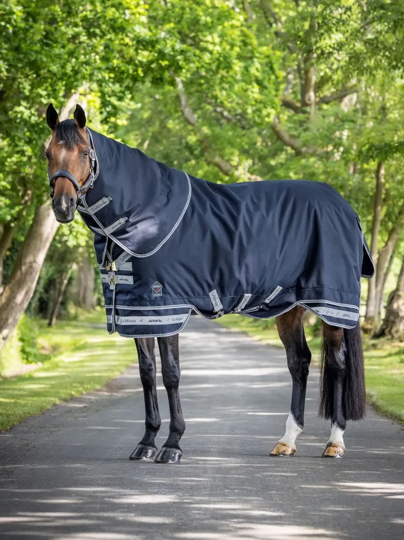LeMieux Turnout Rugs<Arika Storm-Tek Rug 100g