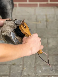 LeMieux Brushes<Artisan Hoof Pick