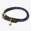 LeMieux Collars And Leads<Ascot Rope Dog Collar