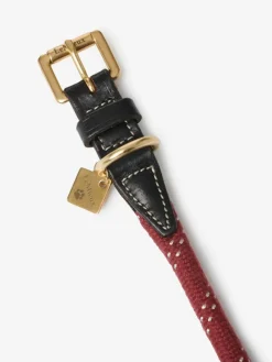 LeMieux Collars And Leads<Ascot Rope Dog Collar