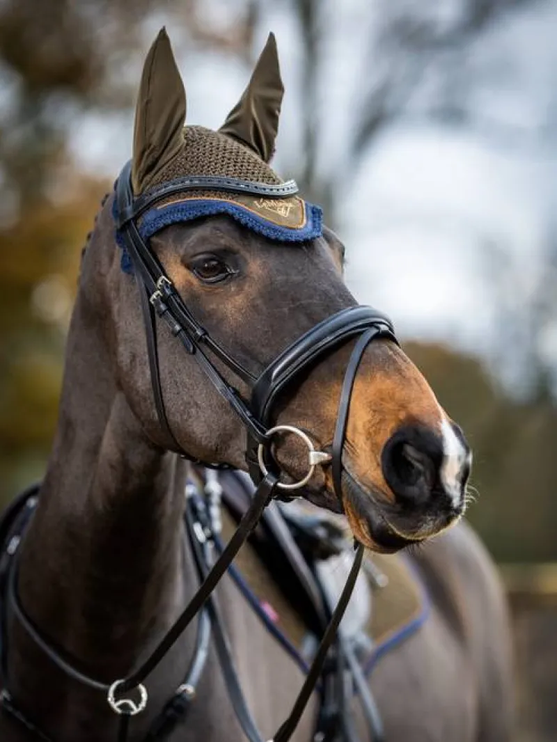 LeMieux Horse Wear Accessories|Fly Masks & Nets<Classic Fly Hood AW24