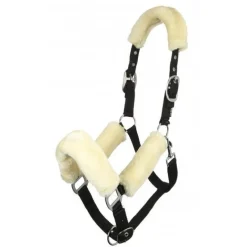 LeMieux Head Collars<Comfort Headcollar