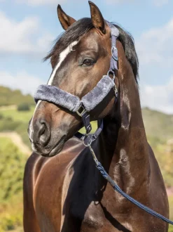 LeMieux Head Collars<Comfort Headcollar