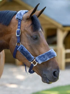LeMieux Head Collars<Comfort Headcollar