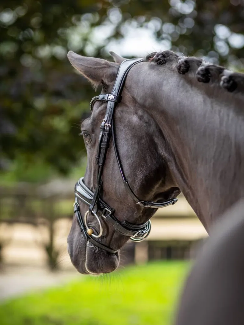 LeMieux Bridles<Kudos Patent Dressage Bridle