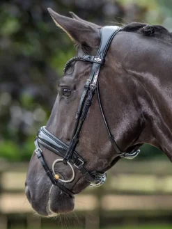 LeMieux Bridles<Kudos Patent Dressage Bridle