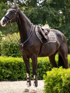 LeMieux Saddlepads & Numnahs<Loire Classic Close Contact Square SS24