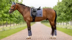 LeMieux Saddlery Accessories|Saddlepads & Numnahs<Loire Classic Dressage Square SS24