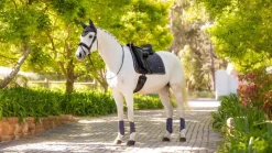 LeMieux Saddlery Accessories|Saddlepads & Numnahs<Loire Classic Dressage Square SS25