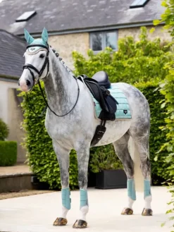 LeMieux Saddlery Accessories|Saddlepads & Numnahs<Loire Classic Dressage Square SS25