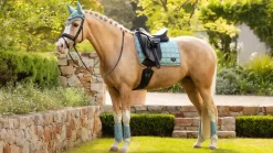 LeMieux Saddlery Accessories|Saddlepads & Numnahs<Loire Classic Dressage Square SS25