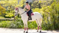 LeMieux Saddlery Accessories|Saddlepads & Numnahs<Loire Classic GP Square SS25