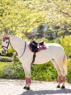 LeMieux Saddlery Accessories|Saddlepads & Numnahs<Loire Classic GP Square SS25