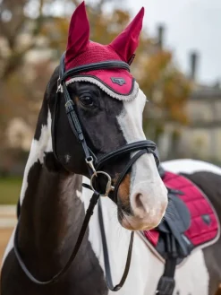 LeMieux Horse Wear Accessories|Fly Masks & Nets<Loire Fly Hood AW24