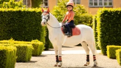 LeMieux Saddlery Accessories|Saddlepads & Numnahs<Mini Suede Jump Square SS24