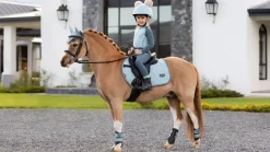 LeMieux Saddlepads & Numnahs<Mini Suede Jump Square AW24