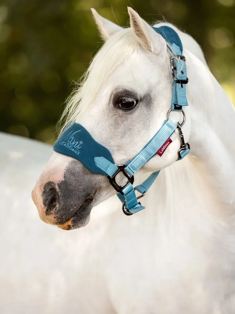 LeMieux Head Collars<Mini Vogue Fleece Headcollar and Rope