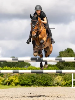 LeMieux Horse Wear Accessories|Fly Masks & Nets<Puissance Fly Hood