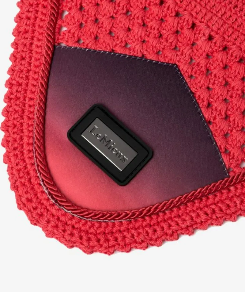 LeMieux Fly Masks & Nets<Spectrum Fly Hood