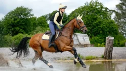 LeMieux Saddlepads & Numnahs|Riding Accessories<Suede Close Contact Square SS25