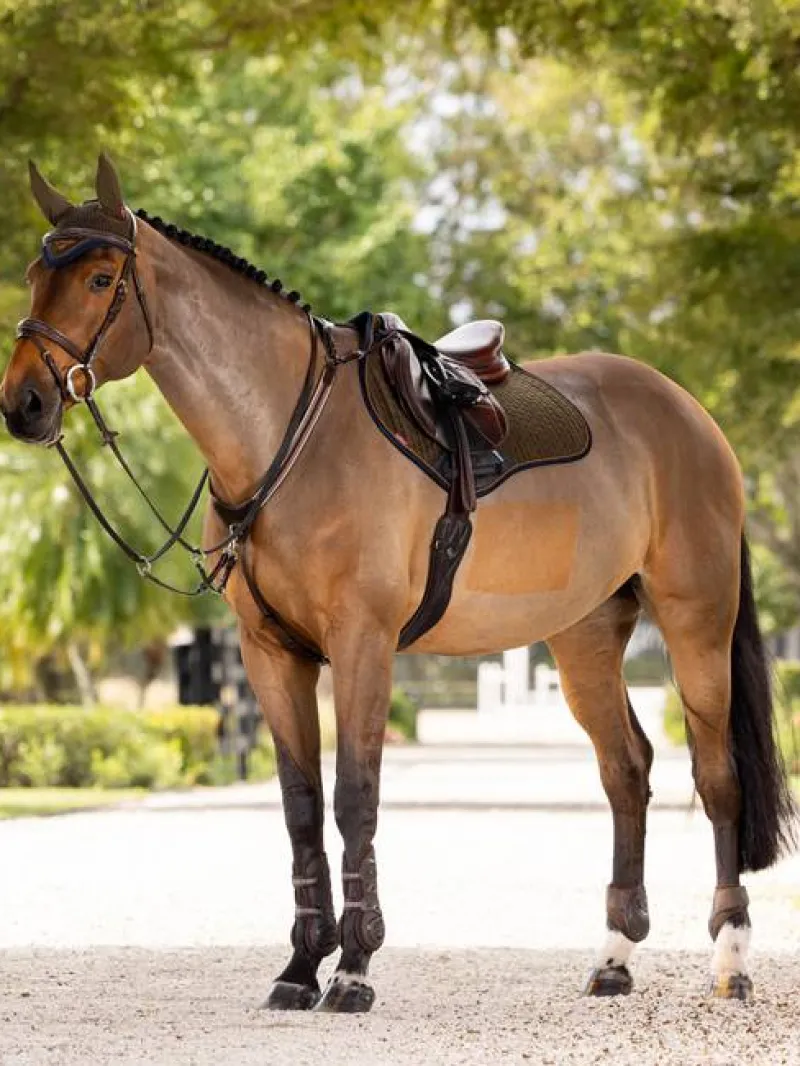 LeMieux Saddlepads & Numnahs<Suede Close Contact Square AW24