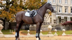 LeMieux Saddlepads & Numnahs<Suede Close Contact Square AW24