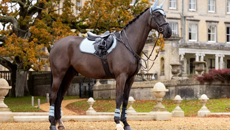 LeMieux Saddlepads & Numnahs<Suede Close Contact Square AW24