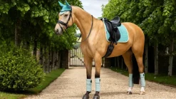 LeMieux Saddlepads & Numnahs|Riding Accessories<Suede Dressage Square SS25