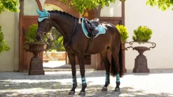 LeMieux Saddlepads & Numnahs<Suede GP Square SS25