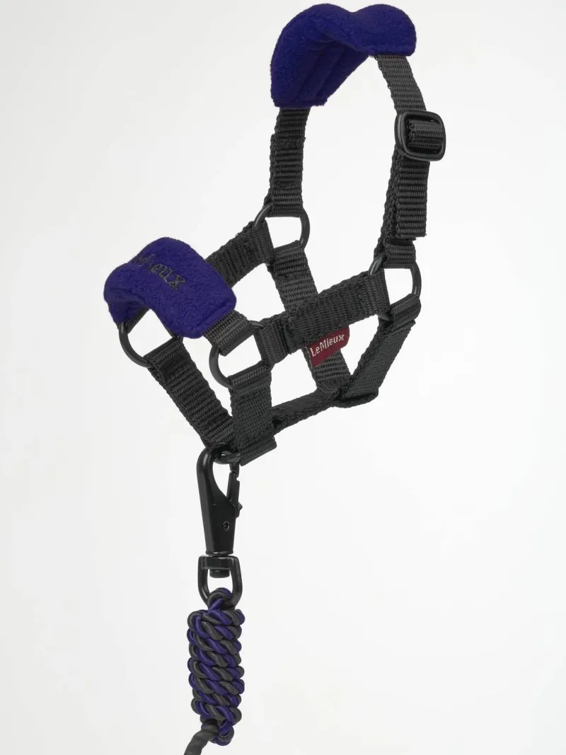 LeMieux Toys<Toy Pony Headcollar