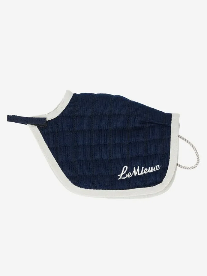 LeMieux Toys<Toy Pony Quarter Sheet